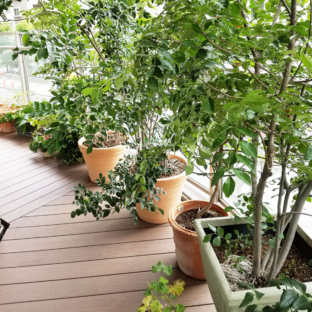 東京都品川区O様邸