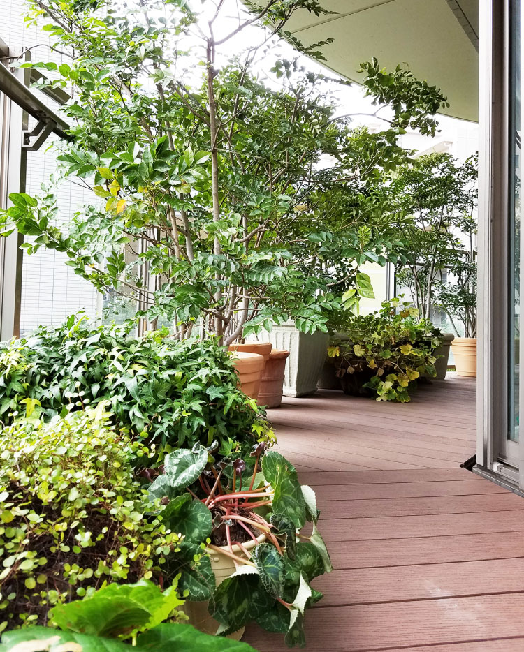 東京都品川区O様邸