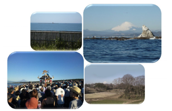 茅ヶ崎の公営団地の状況_1