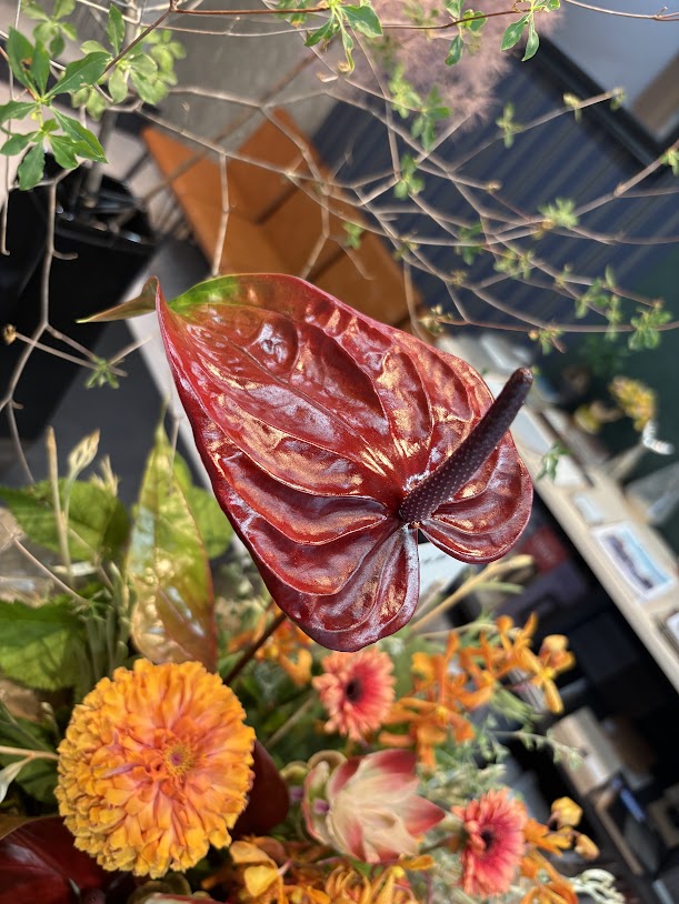 お祝いのお花